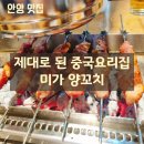 온정약국 | [안양 맛집] 미가 양꼬치 8가지 안주 후기
