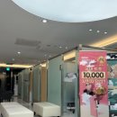 프로로재생의원 | 강남피부과 모공축소시술 추천 * 콜라움 120 스킨부스터 후기 (통증, 가격, 효과 등)