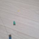 커낼로260번길 이미지