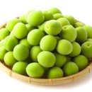 그레이트짐 이미지