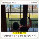 네네치킨 시청점 | 5세 연년생 남매랑 강원도여행 망상오토캠핑리조트 망상해변한옥마을 단층연립 C동 1박 2일 숙박 솔직 후기