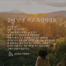 안녕숲 이미지