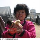 으뜸농장 이미지