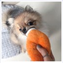 아이조아요양호텔 이미지