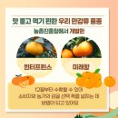 미래향 이미지