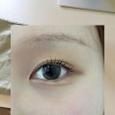 곡선지구대 | [춘천속눈썹펌] ✧ 짧다고 무조건 ‘바짝’이 정답은 아니에요