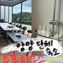 수풀하우스 이미지