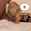 잔다리2길 | 1월ㅣ기깔난 허송세월