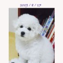 해피 - 동래구 금강공원로 28 | 해피