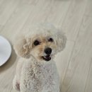옹스옹스중동점 이미지