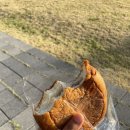 오잉코인노래연습장 이미지