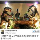 화석 이미지