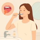 참조은치과의원 | 기초부터 실천하는 서울참조은치과의원 방배동치과 구강 관리 상식 가이드