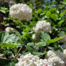 성내목장 이미지