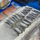 동성상회 이미지