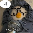 금예촌 | 2026.04-05