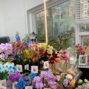 미금현대벤처빌시장 | [공지] 🩷미금역 꽃집 피어나꽃 2025 스승의날&amp;어버이날 선물 안내 &amp; 건너편 확장이전 안내🩷