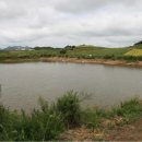 팔금면보건지소 이미지