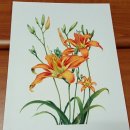 즐거운 색연필화 이미지