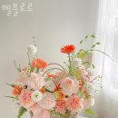 벨플로르