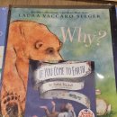 베이비송 | 노부영 베이비 베스트 15권 구매후기 최저가 사은품 아기영어전집 추천 엄마표 영어