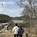 솔펜션 별관 | [경기광주/퇴촌 베이커리카페] 어로프슬라이스피스 방문 후기