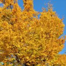 장말어린이공원 이미지