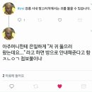 강릉시내 맘스터치의 비밀 이미지