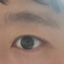 꼼꼼씨의하루 | 난시교정용 컬러렌즈 난시 컬러렌즈 난시용 렌즈 렌즈 착용 부작용 좋은 점 난시교정용 렌즈 추천 후기
