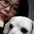 찍고푼