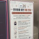 용두로 | 서오릉맛집 수제버거 바그 | 육즙 다른 한우1++버거 먹어본 후기