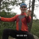 201헤어 이미지