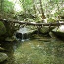 곡성-112 이미지