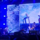 허밍베리 이미지