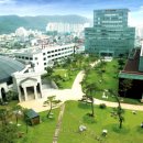 Wise Dental Lab 이미지