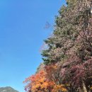 (주)테마로전자 | 가족여행 필수코스, 속리산 테마파크 스카이바이크 탑승후기 정보