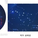마늘오리 이미지