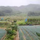 지리산둘레길 2코스 이미지