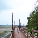 웅도 어촌체험마을 이미지