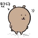 뭅 이미지