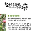 법인늘푸른농장 이미지