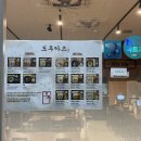 [용인/기흥] 도투카츠 기흥역 기흥ICT밸리 돈카츠 맛집