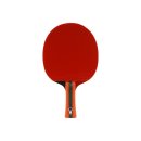 탁구초급 이미지