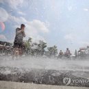 그늘막135 이미지