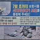 오도리 이미지