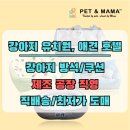 [공지] 펫앤마마 강아지 방석 제조 생산 공장 최저가 도매 문의 강아지 유치원, 애견 호텔, 매장 대량...