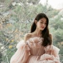 데이든(DAYDEN) 이미지