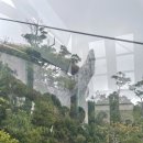 울산씨유무둔실공원점 | 2025 경기도 다낭시 가족여행 3.