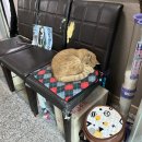 티스테이션 금촌점 이미지