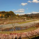 노현1리 이미지